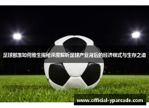 足球部落如何维生揭秘深度解析足球产业背后的经济模式与生存之道